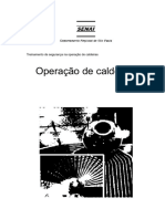 22481694-Operacao-Caldeira-1.pdf
