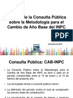 3. Informe Consulta Publica CAB-InPC
