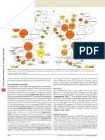 Articles: Gene Prediction and Models RNA Genes