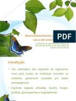 Biomonitoramento aroeira.pptx