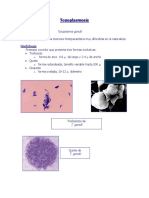 Toxoplasmosis PDF
