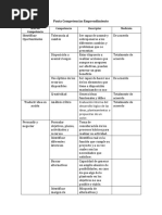 Pauta Competencias Emprendimiento