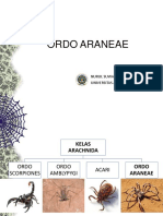 Ordo Araneae Handout (Ppt)