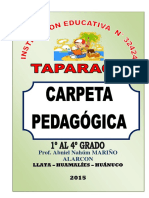 CARPETA PEDAGOGICA-2015