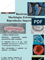 Bactérias: Morfologia, Reprodução e Importância