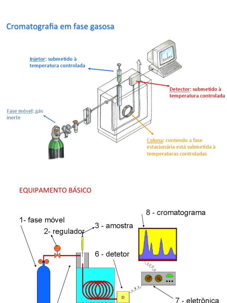cromatografia-gasosa-pdf-cromatografia-em-fase-gasosa-cromatografia