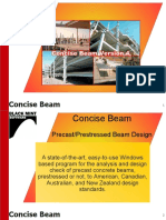 Concise Beam Demo PDF