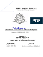 31910700-Project-On-Micro-Finance-by-Bragesh-Bahadur.pdf