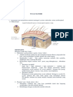 Pbl Sk 1 Neuro 