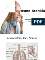 Asma Bronkial