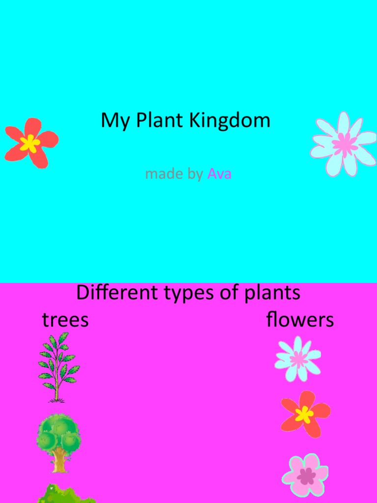 Kids Guide To Plants PDF