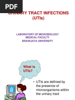 Urinary Tract Infections (Utis) : Laboratory of Microbiology Medical Faculty Brawijaya University