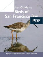 Birds of San Francisco Bay.pdf