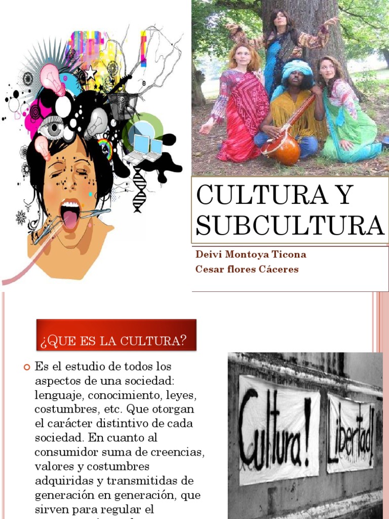 Definición y Ejemplos de Subculturas | PDF | Sociedad | Comportamiento