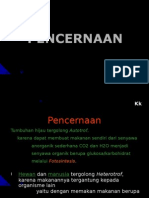 06 - Pencernaan Ajah