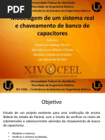 XIVCEEL-Anderson Rodrigo Piccini