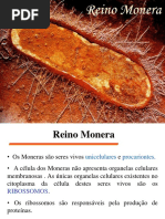Reino Monera