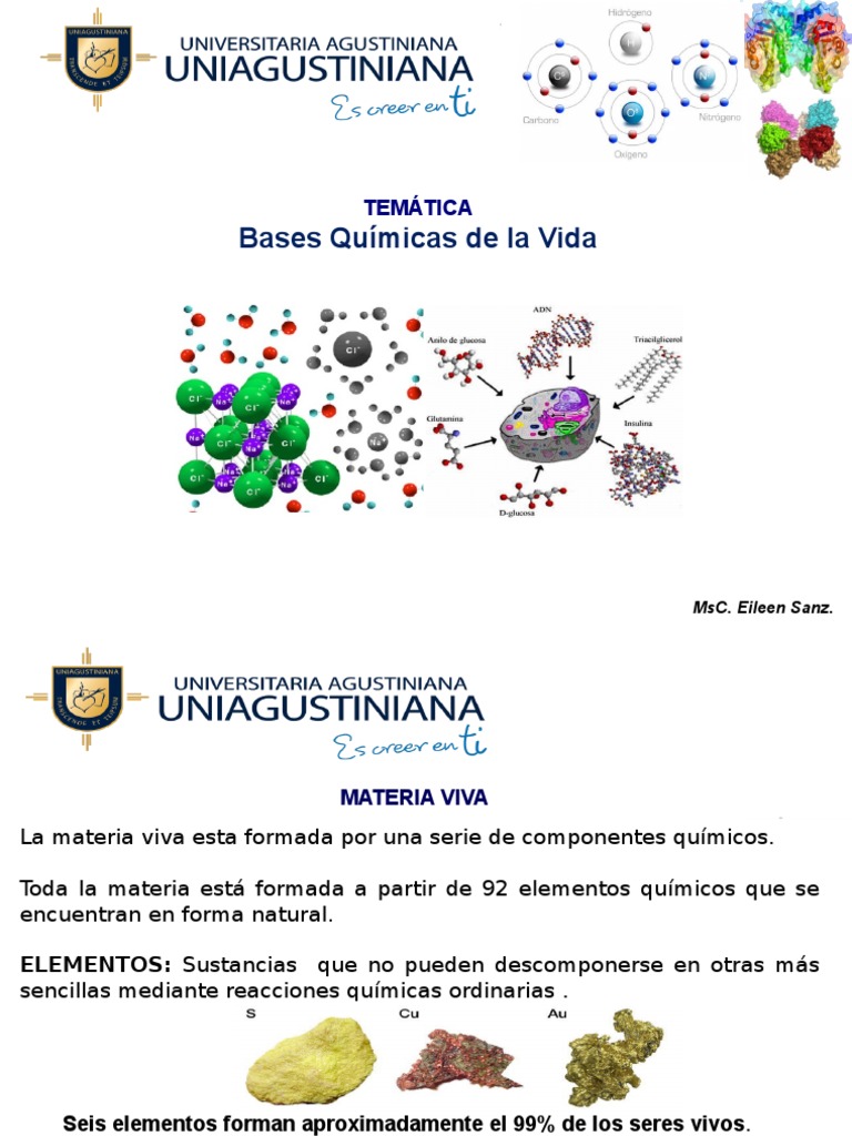 La Base Molecular Y Fisicoquímica De La Vida