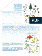 Ciclos de Vida de Las Plantas Gimnospermas y Angiospermas