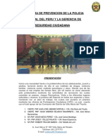 Programa de Prevencion de La PNP 2