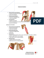 Origenes e Inserciones CORREGIDO