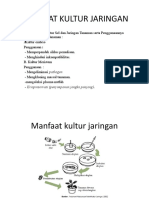 Manfaat Kultur Jaringan