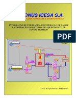 Oleo térmico.pdf