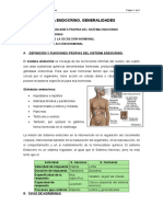 sistema_endocrino.doc