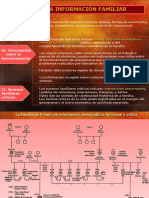 Clase Genograma.pdf Pt3