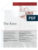 The Knee PDF