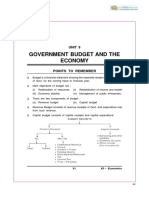 Government budget and the economy