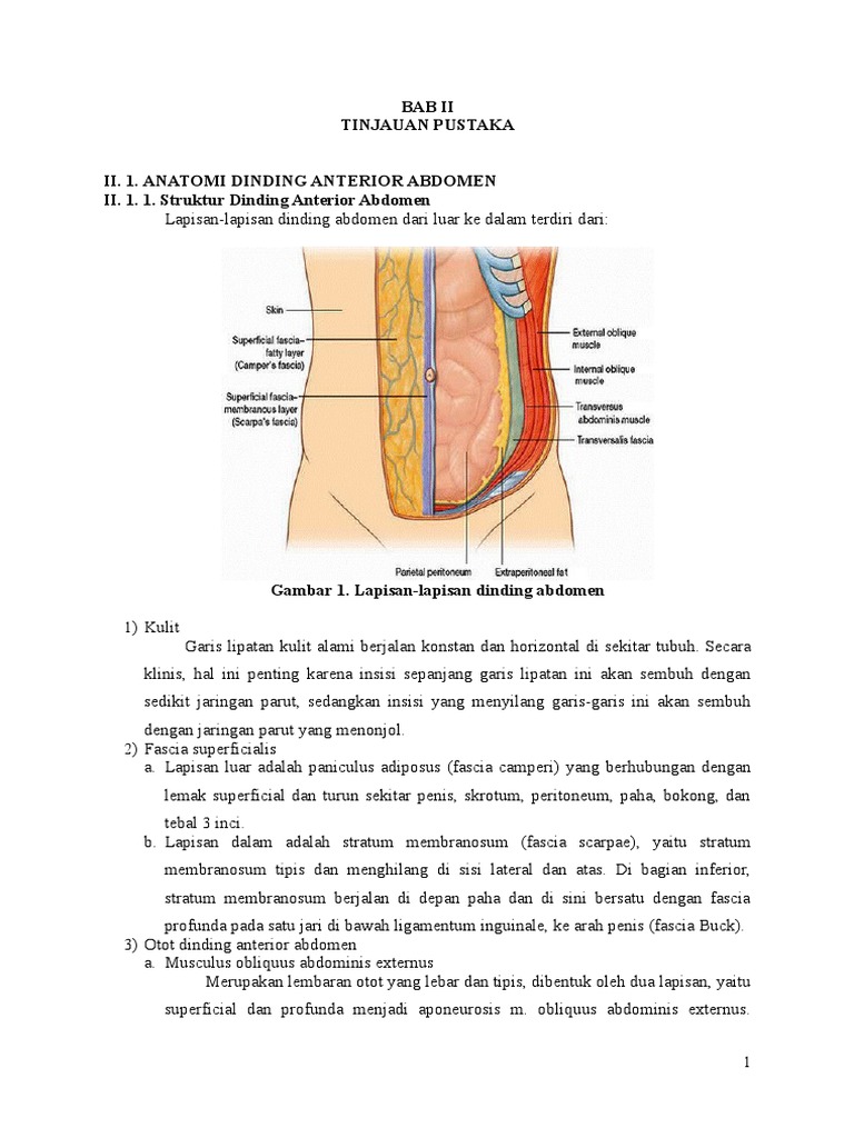 210084972 Referat Hernia Ah12022014