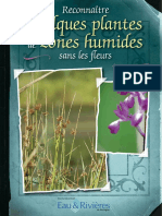 Plantes de Zones humides - Livret Eau & Rivieres de Bretagne