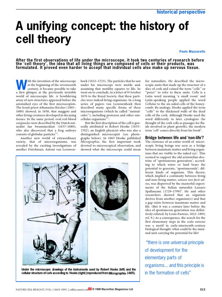 Onion cell mitosis worksheet answers picture