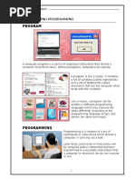 Program: Lesson 1 Program and Programming