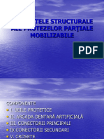 Elementele Structurale Ale PPM