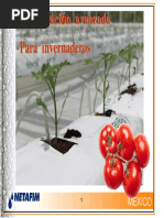 Fertigation Principle in Spanish