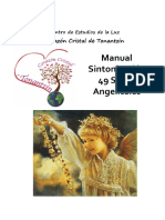 Manual Sintonizacion 49 Sellos Angelicales - Corazón Cristal de Tonantzin