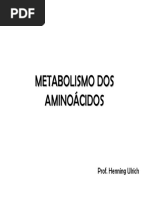 Degrada Cao Amino Acid Os