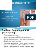 Hernia Inguinalis