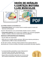 Transmision de Señales