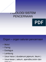 Fisiologi Sistem Pencernaan