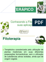 prescric3a7c3a3o-de-fitoterc3a1picos-limites-e-possibilidades-uma-abordagem-farmacc3aautica-martha-vasconcelos (1).pdf