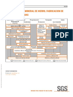 SGS MIN 1027 SGS Minerals Services Value Chain Diagram For Iron Ore Steel and SMRM SP 12 01