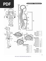 Livro - Anatomy Coloring Workbook