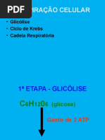 RESPIRAÇÃO CELULAR.ppt