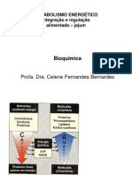 integracao-metabolismo-energetico.pdf
