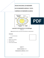 IDENTIFICACION CUALITATIVA DE PROTEINAS Y AMINOACIDOS.docx