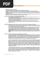 Desarrollo 1er Parcial.pdf
