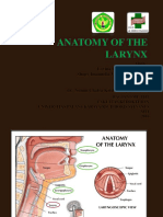 anatomi laring.ppt